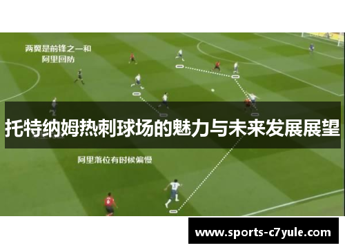 托特纳姆热刺球场的魅力与未来发展展望
