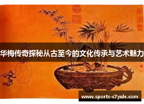 华梅传奇探秘从古至今的文化传承与艺术魅力