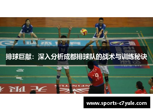 排球巨献：深入分析成都排球队的战术与训练秘诀