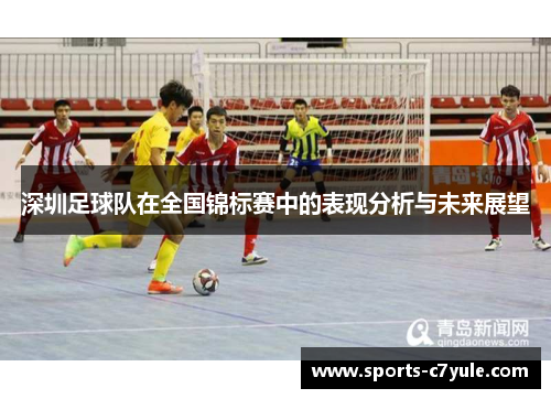 深圳足球队在全国锦标赛中的表现分析与未来展望