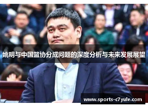 姚明与中国篮协分成问题的深度分析与未来发展展望