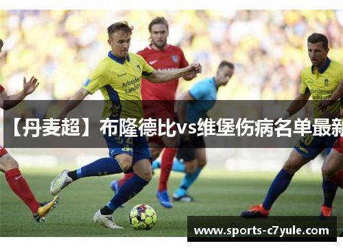 【丹麦超】布隆德比vs维堡伤病名单最新